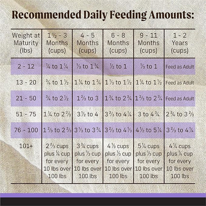 Merrick Backcountry Grain Free Dry Puppy Dog Food, Kibble with Freeze Dried Raw Pieces, Chicken Recipe - 10.0 Lb. Bag