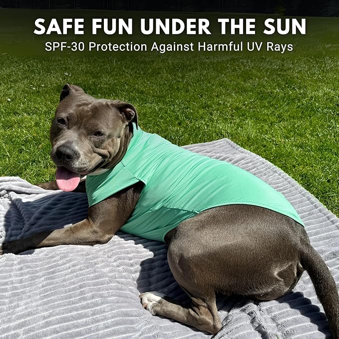 Spark Paws Sunblock Dog T-Shirt, SPF30 Protection, Lightweight Breathable Quick Dry for Dogs with Sensitive Skin - Peach & Mint (Set of 2) - L