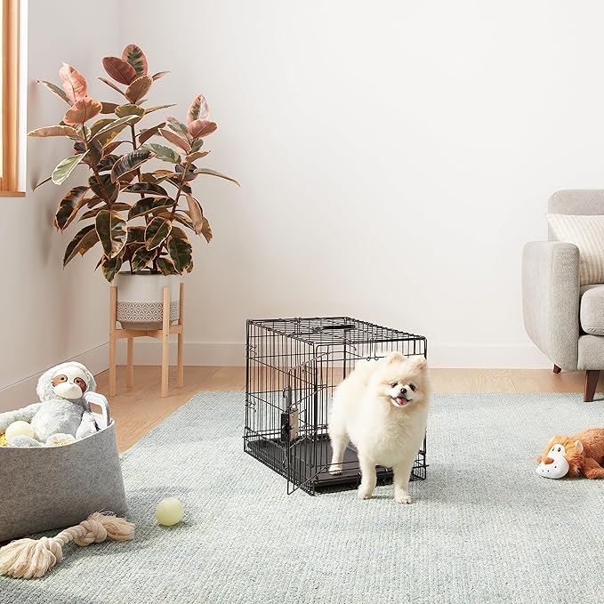 Amazon Basics Portable, Foldable Metal Wire Dog Crate with Removable Tray, Single Door, Divider Panel, Collapsible for Travel, 22 x 13 x 16 in, Black