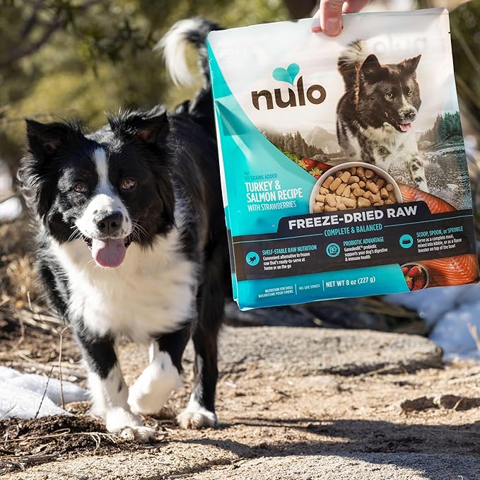 Nulo Freeze-Dried Raw Chicken Recipe with Blueberries Complete and Balanced Dry Dog Food Kibble, 18 Ounce Bag