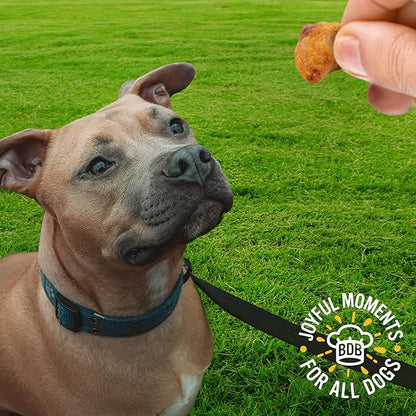 Blue Dog Bakery Protein Nuggets Snack | Small, Soft & Chewy Chicken & Apple Flavor | Natural Healthy Dog Treats, 6 oz (Pack of 8)