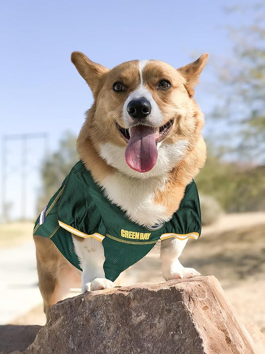 NFL Green Bay Packers Dog Jersey, Size: X-Large. Best Football Jersey Costume for Dogs & Cats. Licensed Jersey Shirt