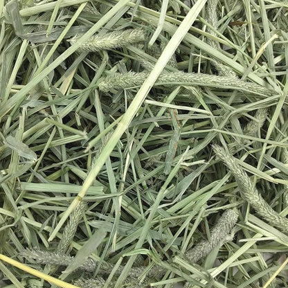Oxbow Western Timothy Hay for Small Pets – All-Natural Grass Hay for Rabbits, Guinea Pigs, and Chinchillas – High Fiber for Digestive Health and Dental Support – 40 oz Bag
