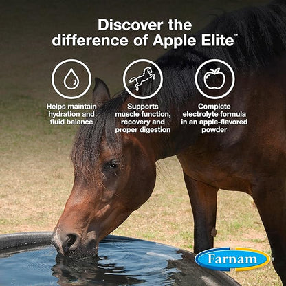 Farnam Apple Elite Horse Electrolytes Powder Supplement, Replaces Vital Minerals, Encourages Hydration, Sugar-Free, Contains Sodium, Potassium, Calcium & Magnesium, Apple Flavored, 5 lb