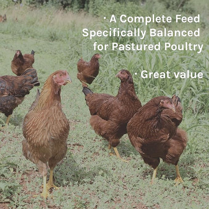 New Country Organics I Pastured Perfect Layer Feed for Laying Hens | Corn-Free and Soy-Free | 17% Protein | Certified Organic and Non-GMO | 40 lbs