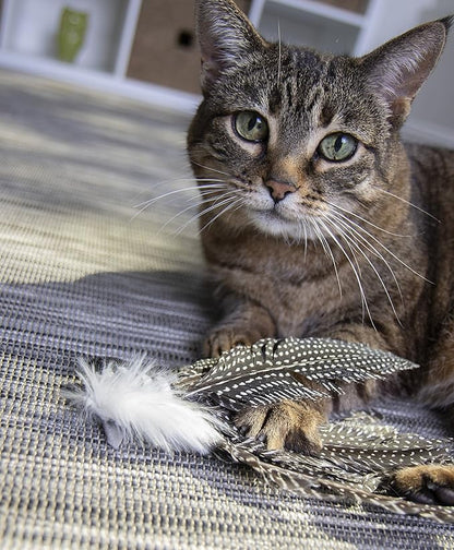 Petlinks HappyNip Zippy Zebra Feather Cat Toy, Contains Silvervine & Catnip - Black/White, One Size
