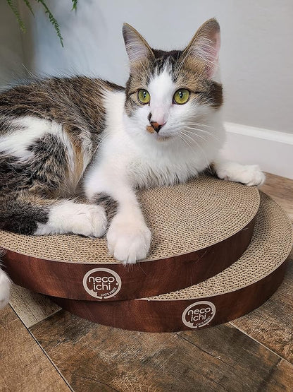 Necoichi Cat Scratcher Bowl Replacement for Indoor Cats - Cat Scratching Lounger with Reversible Usability and Extra Comfort for Lounge, Cardboard Bed Couch / (Regular, Dark Cherry)