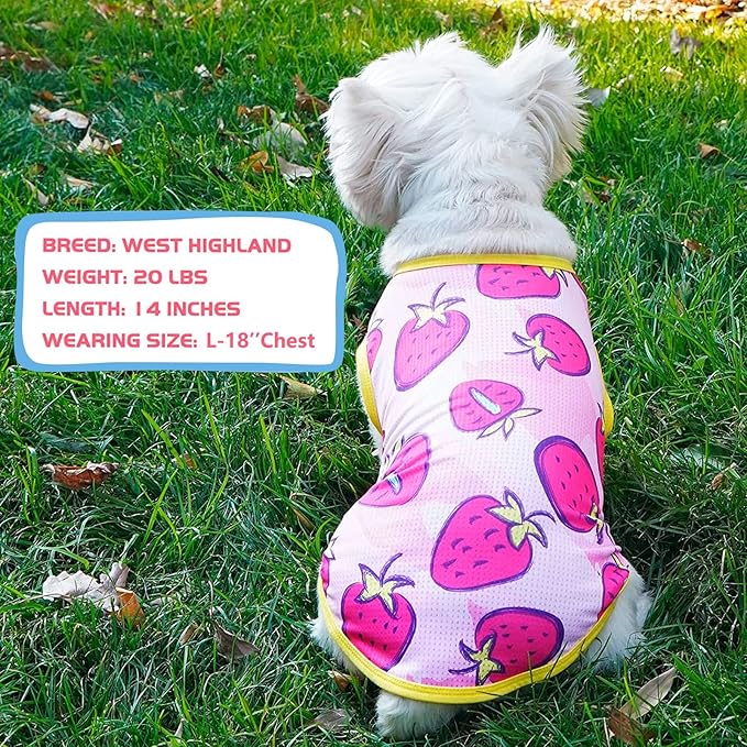 KYEESE 2Pack Dog Shirt, Lightweight Sun Protection Dog T Shirts for Small Dogs Girl, Breathable Mesh Tank Top Sleeveless Pet Reflective Vest, Soft Summer Dogs Clothes, Strawberry+Rose Red, M