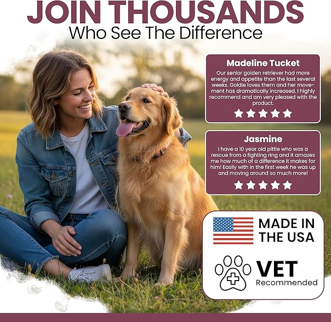 12-in-1 Multivitamin for Senior Dogs - 60 Senior Dog Vitamin and Supplement Soft Chews for Hip and Joint - Advanced Formula with Glucosamine, Omega 3,6,9, Vitamins, Probiotics - Made in the USA
