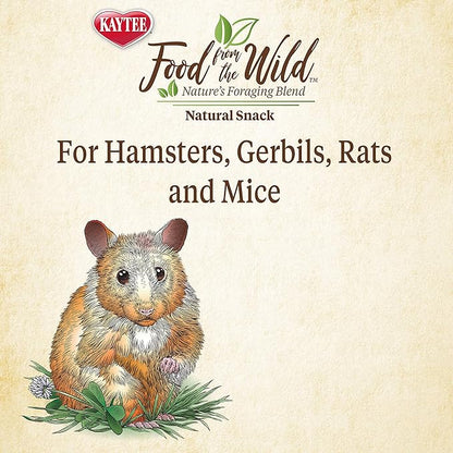 Kaytee Food from The Wild Natural Snack for Pet Hamsters, Gerbils, Rats and Mice, 2 Ounces