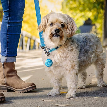 Nite Ize WearAbout Pet Clippable Tracker Holder, Apple AirTag Holder With Locking Carabiner For Pets, Blue