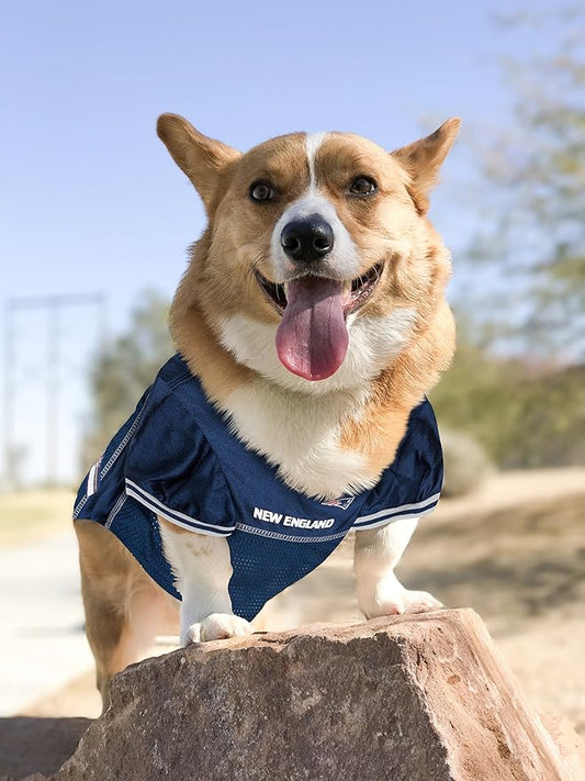 Pets First NFL New England Patriots Dog Jersey, XXX-Large, Officially Licensed