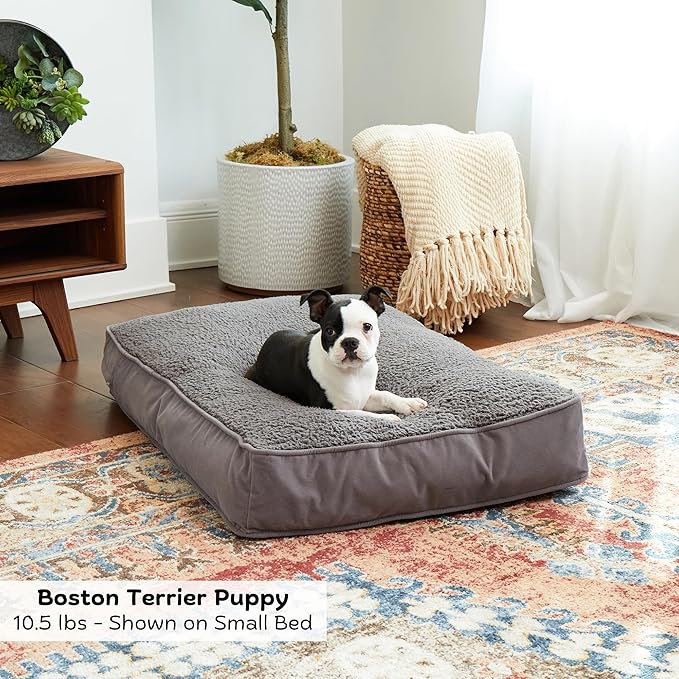 Buster Deluxe Reversible Pillow Style Sherpa Dog Bed, Gray, Small (36 x 24 in.)