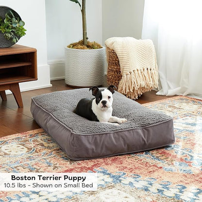 Buster Deluxe Reversible Pillow Style Sherpa Dog Bed, Gray, Small (36 x 24 in.)