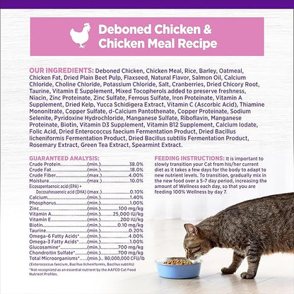 Wellness Complete Health Kitten Dry Cat Food, Natural, Wholesome Grains Kibble, Turkey, Turkey Meal and Chicken Recipe, 5 lb Bag