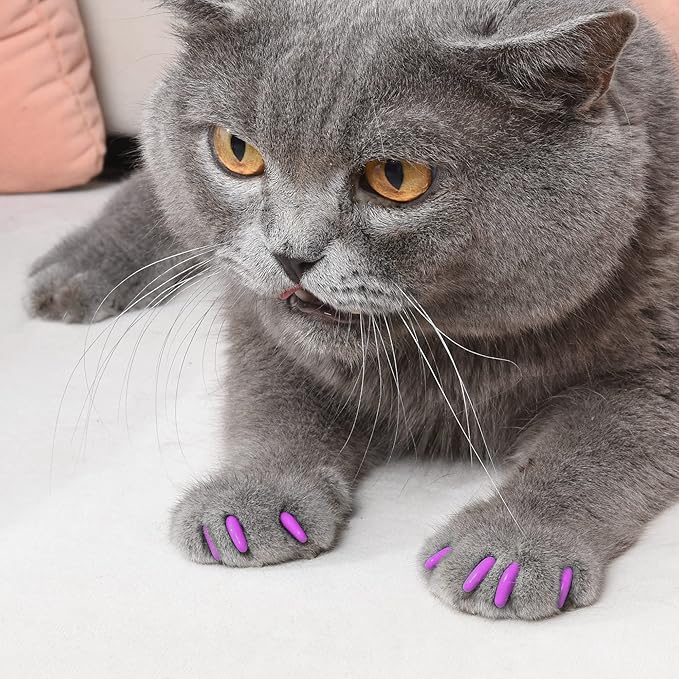 Kitty Caps Nail Caps for Cats, Hot Purple & Hot Pink - Safe, Stylish & Humane Alternative to Declawing Stops Snags & Scratches, Medium (9-13 lbs), 40 Count - 3 Pack