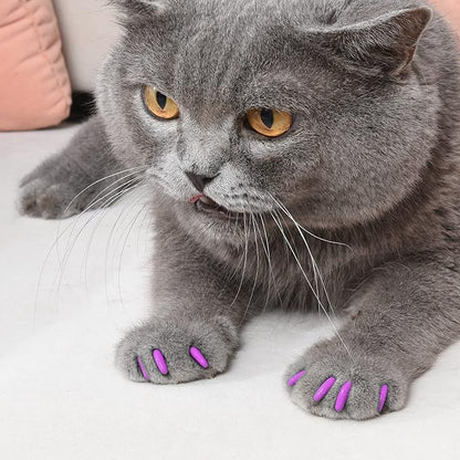 Kitty Caps Nail Caps for Cats, Hot Purple & Hot Pink - Safe, Stylish & Humane Alternative to Declawing Stops Snags & Scratches, Medium (9-13 lbs), 40 Count - 3 Pack