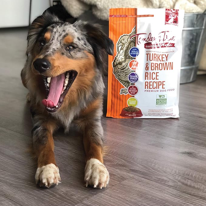 Dog lying on a wooden floor with a bag of Tender & True Turkey & Brown Rice Recipe dog food.