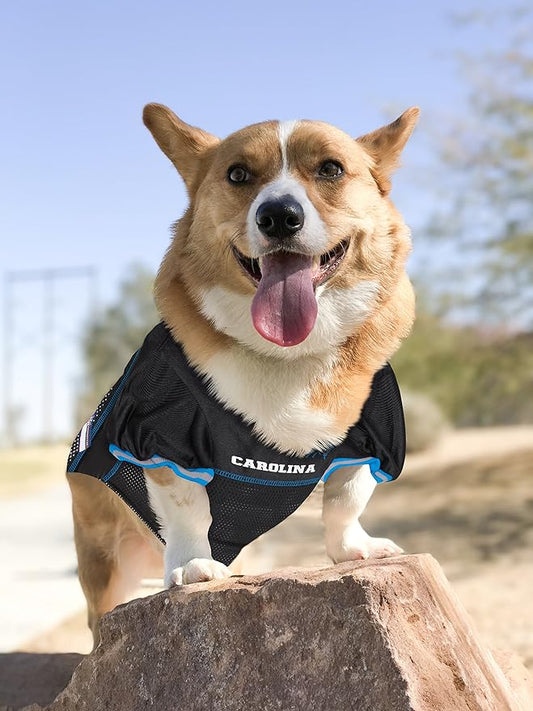 NFL CAROLINA PANTHERS DOG Jersey, XX-Large