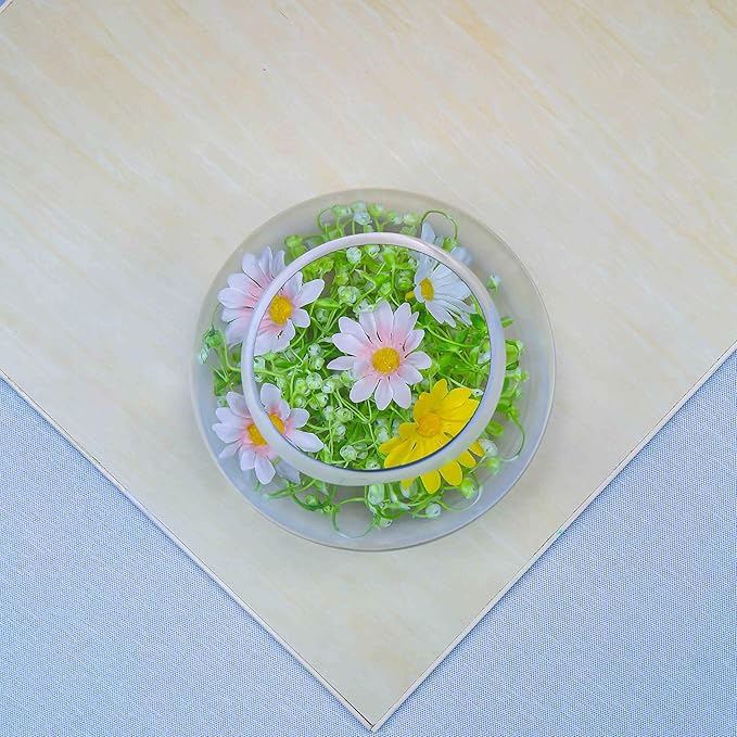CYS EXCEL Glass Bubble Bowl (H-6" W-8", Approx. 3/4 Gal.) Small Fish Bowl Round Terrarium Vase Globe Flower Centerpiece for Weddings Events Arrangements