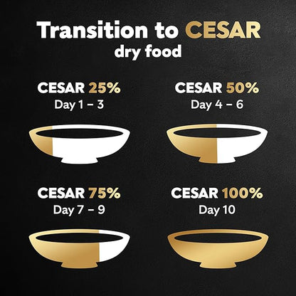 Cesar Small Breed Dry Dog Food for Small Dogs, Filet Mignon Flavor and Spring Vegetables Garnish, 5 lb Bag