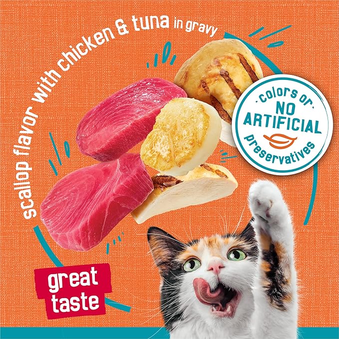 Friskies Purina Wet Cat Food Tasty Treasures with Chicken and Tuna in Gravy (Scallop Flavor) - (Pack of 48) 5.5 oz. Cans