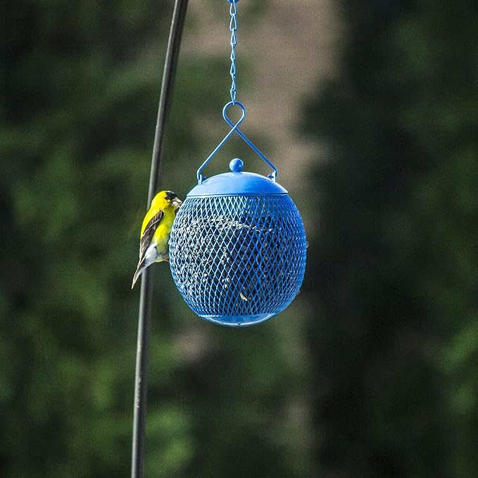 Backyard Expressions 3-Pack Metal Mesh Bird Feeders for Outdoors – Red, Blue & Yellow Squirrel-Resistant Hanging Feeders for Cardinals, Finches & Songbirds – Durable All-Weather Design