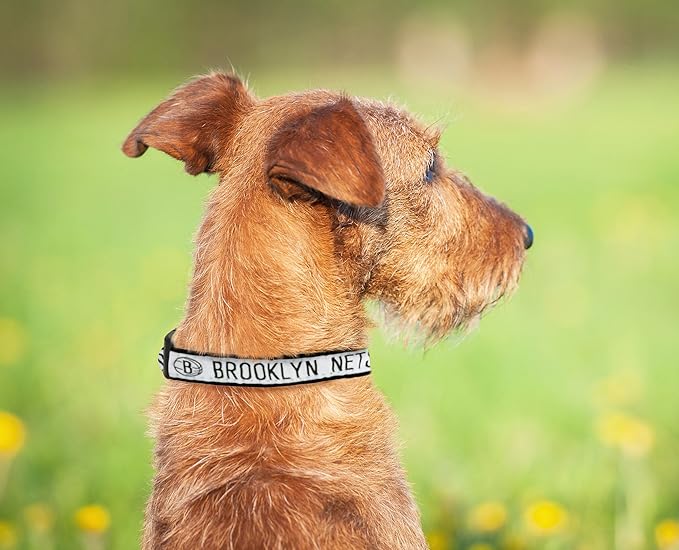 Pets First NBA PET Collar BROOKLYN NETS Dog Collar, Size Small Basketball Team Collar for Dogs & Cats. A Shiny & Colorful Dog & Cat Collar Licensed by the NBA