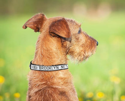 Pets First NBA PET Collar BROOKLYN NETS Dog Collar, Size Small Basketball Team Collar for Dogs & Cats. A Shiny & Colorful Dog & Cat Collar Licensed by the NBA