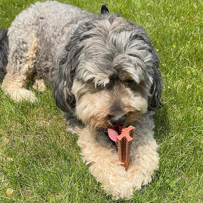 SPOT Bam-Bones Plus T Bone – Bamboo Fiber & Nylon Dog Chew Toy for Moderate to Aggressive Chewers, Durable Long Lasting & Non-Splintering, Beef Flavor Toy for Adult Dogs & Puppies Under 60 lbs, 6 in
