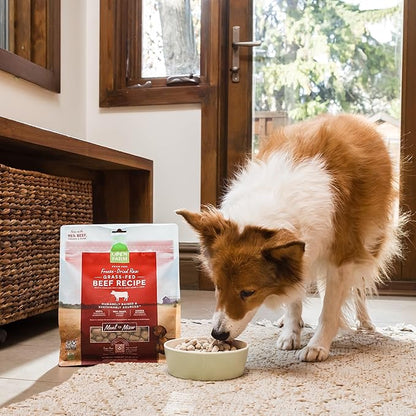 Open Farm, Freeze Dried Raw Dog Food, Morsels with 95% Meat, Organs & Bone, Organic Produce & Superfoods, Complete Meal or Freeze Dried Dog Food Topper, Chicken Recipe, 31.5oz Bag