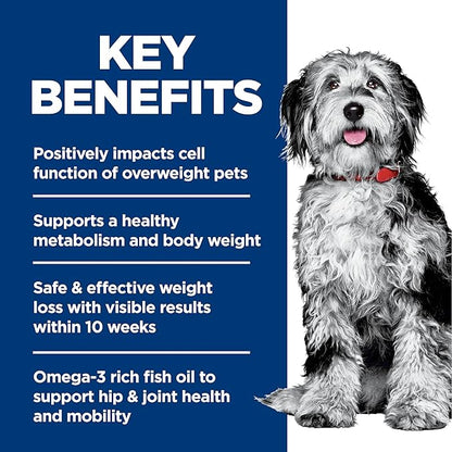 Hill's Science Diet Adult Perfect Weight & Joint Support Dry Dog Food, Chicken, 3.5 lb. Bag