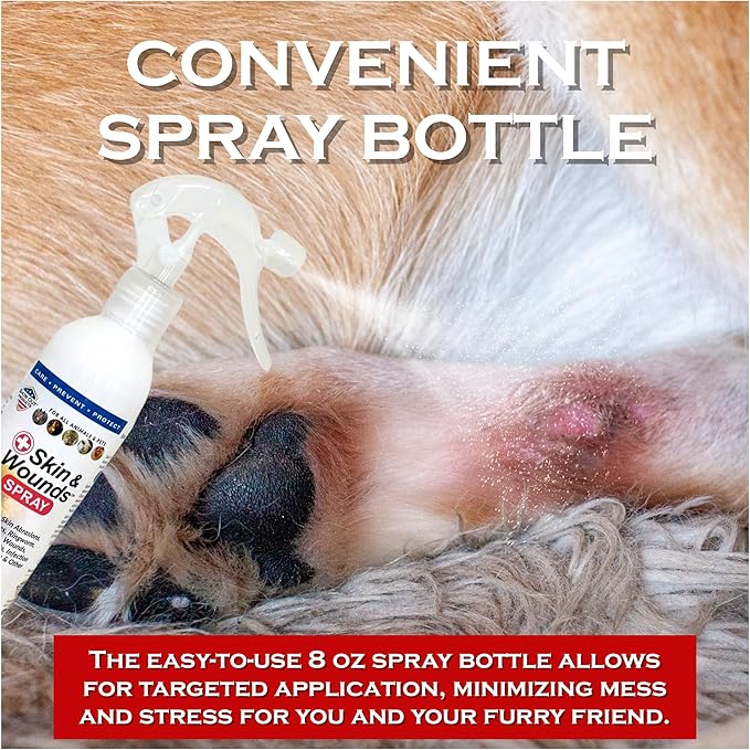 Show Out Skin & Wounds Spray for Dogs — Helps Control Dog Mange & Itchy Skin | Natural Relief for Hot Spots, Ringworm & Dermatitis | Gentle, Vet-Level Care (8 oz)