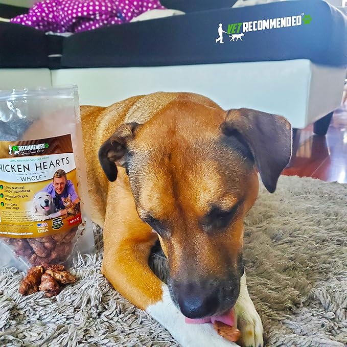 Vet Recommended Premium Whole Chicken Hearts for Dogs and Cats (5oz Bag), Freeze Dried Natural Dog Treats - Perfect Organ Meat for Pets, Human Grade, Natural Source of Taurine, USA Made.