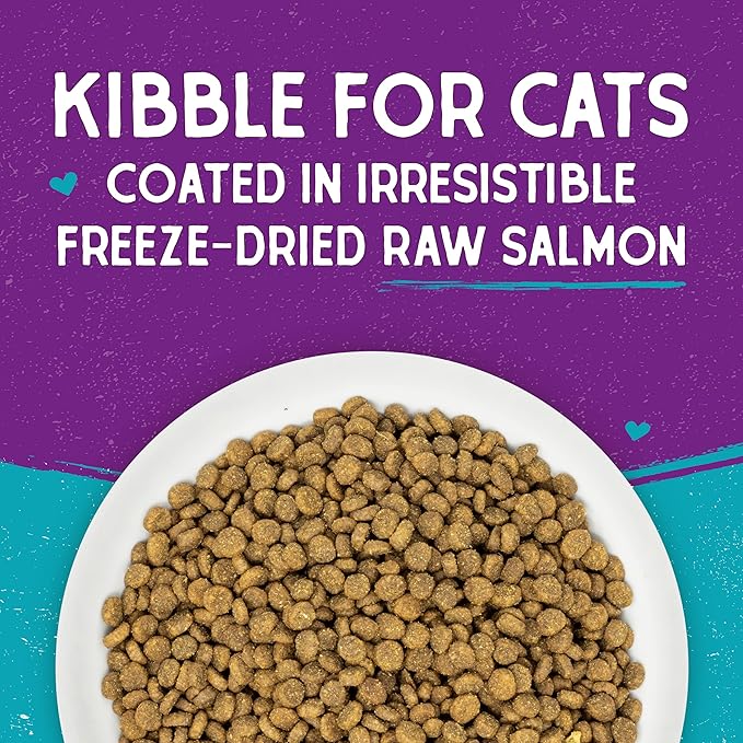 Stella & Chewy's Raw Coated Cat Food - High Protein, Grain-Free Kibble with Wild-Caught Salmon - Premium Digestive Support with Probiotics - Natural Small Kibble - Perfect For Picky Eater - 10 lb Bag
