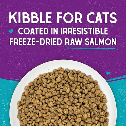 Stella & Chewy's Raw Coated Cat Food - High Protein, Grain-Free Kibble with Wild-Caught Salmon - Premium Digestive Support with Probiotics - Natural Small Kibble - Perfect For Picky Eater - 10 lb Bag
