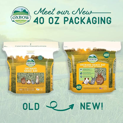 Oxbow Orchard Grass Hay for Small Pets – All-Natural Long Strand Fiber Hay for Rabbits,Guinea Pigs,Chinchillas,and Hamsters – Supports Digestive Health and Enrichment-– 40 oz Bag,(Pack of 2)