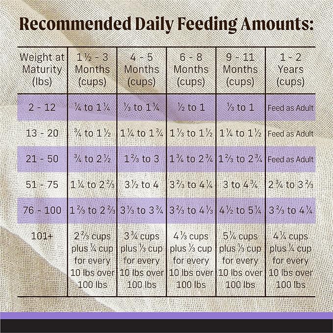 Merrick Backcountry Grain Free Dry Puppy Dog Food, Kibble with Freeze Dried Raw Pieces, Chicken Recipe - 4.0 lb. Bag