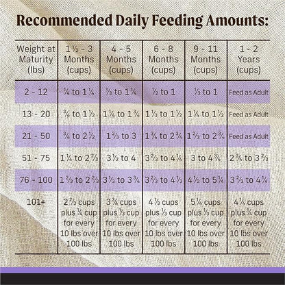 Merrick Backcountry Grain Free Dry Puppy Dog Food, Kibble with Freeze Dried Raw Pieces, Chicken Recipe - 20.0 lb. Bag
