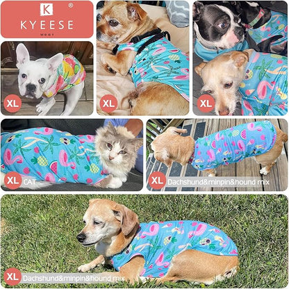 KYEESE 2Pack Dog Shirt, Lightweight Sun Protection Dog T Shirts for Small Medium Dogs Girl, Breathable Mesh Tank Top Sleeveless Pet Reflective Vest, Soft Summer Dogs Clothes, Lemon+Pink, XL