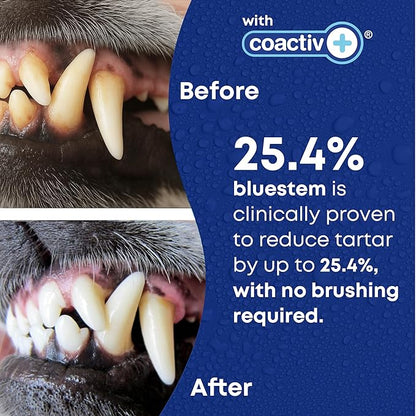 bluestem Freshens Dog and Cat Breath - Safe and Effective Dental Water Additive - 17 Ounce - Chicken