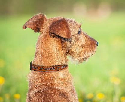 Pets First NHL Collar for Dogs & Cats. Adjustable, Cute, & Stylish! The Ultimate Hockey Fan Collar!