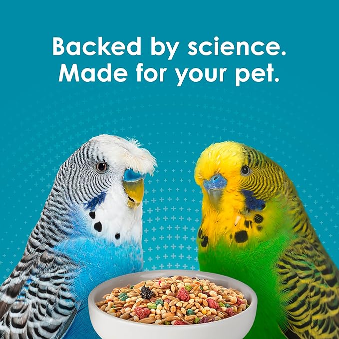 Kaytee Forti-Diet Pro Health Nourish+Protect Parakeet Food, Comprehensive Nutrition Backed by Science, Digestive Health, Immune Support, 4 pounds
