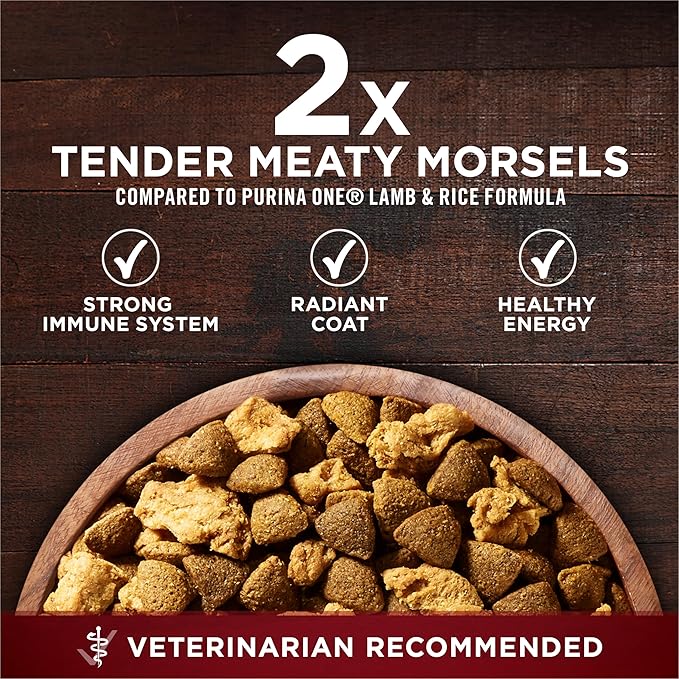 Purina ONE True Instinct With Real Salmon and Tuna Natural With Added Vitamins, Minerals and Nutrients High Protein Dog Food Dry Formula - 15 lb. Bag