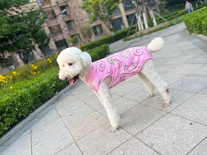 Xqpetlihai Recovery Suit for Dogs， Dog Surgery Recovery Suit Female， Dog Recovery Suit After Surgery ，Dog Surgery Recovery Suit（SW-L