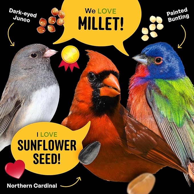 Cool Birds All Birds Wild Bird Seed – 10 lb. Classic Blend with Black Oil Sunflower, White Millet, Safflower, Peanuts & Sunflower Hearts – Balanced Bird Food for Outside Feeders