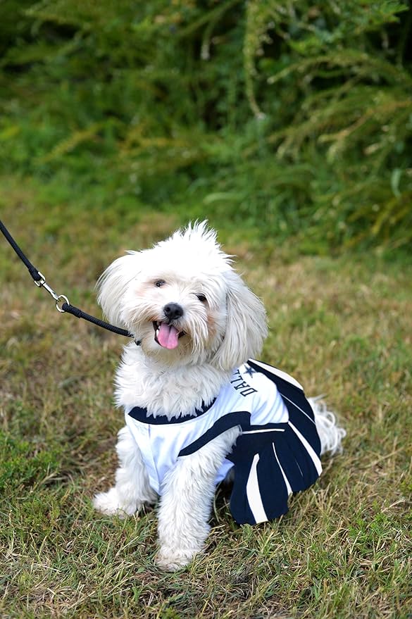 Pets First Dallas Cowboys NFL Cheerleader Dress For Dogs - Size X-Small