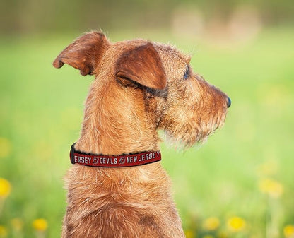 Pets First NHL Collar for Dogs & Cats. Adjustable, Cute, & Stylish! The Ultimate Hockey Fan Collar!