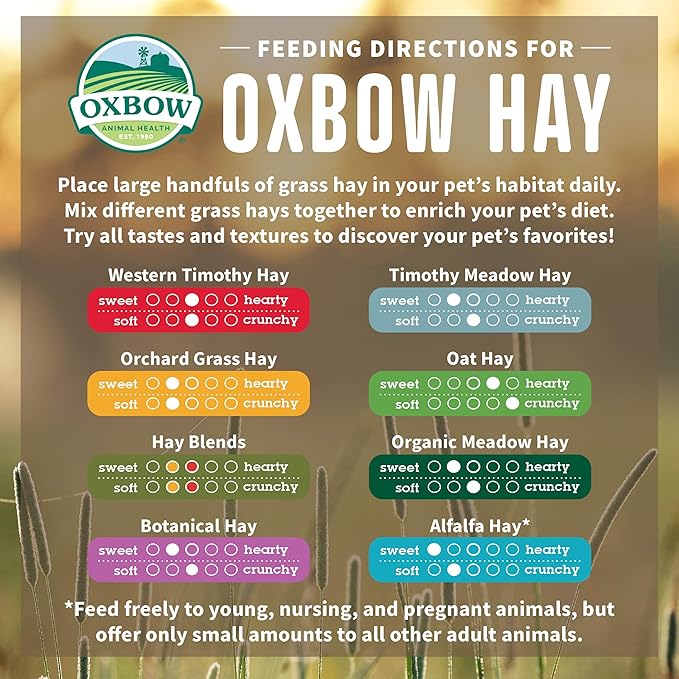 Oxbow Timothy Hay, Rabbit & Guinea Pig Hay, High Fiber for Digestive Health, Grown in the USA, Veterinarian Recommended Small Pet Supplies, for Rabbits, Guinea Pigs, & Chinchillas, 15 oz. (Pack of 2)