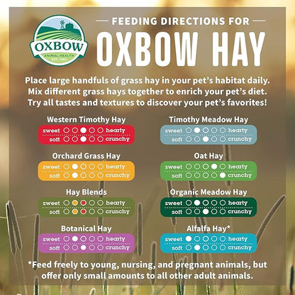 Oxbow Orchard Grass Hay for Small Pets – All-Natural Long Strand Fiber Hay for Rabbits,Guinea Pigs,Chinchillas,and Hamsters – Supports Digestive Health and Enrichment-– 40 oz Bag,(Pack of 2)